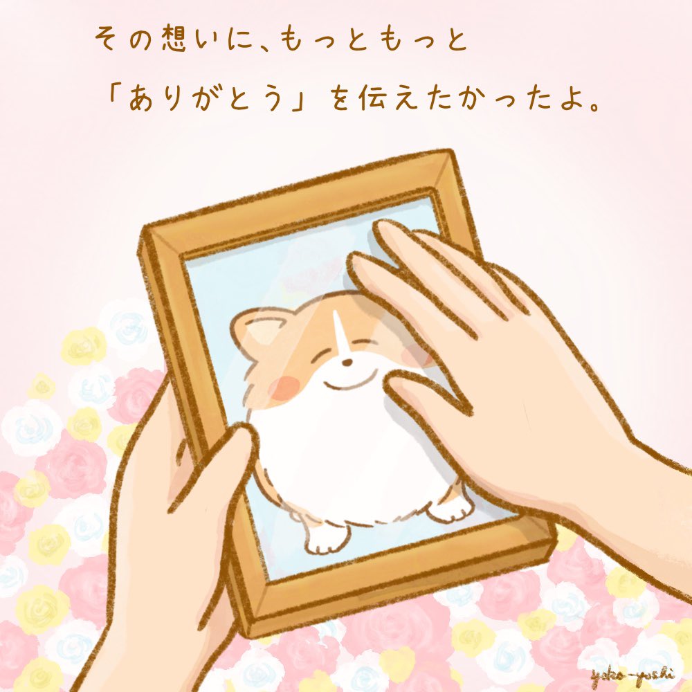 yoshiyo36033424's tweet photo. 当たり前じゃない想い https://t.co/YeEMLJBayS