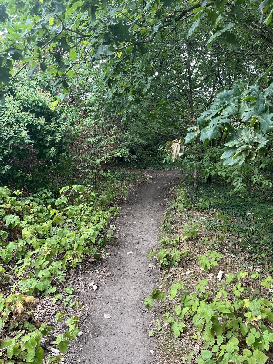 KuganKamala's tweet photo. @NEF #HannahPeaker #LandWorking4People? @KingstonVA #LibDemConf @EdwardJDavey RBK has given #Countryside #CRE 260yr lease at £0mn, but no CommunityCentre 4 #CoombeVale? Rising social isolation & poor #MentalHealth? #DickerageRec has space yet #DogInManger https://t.co/PWdyu1zWUA