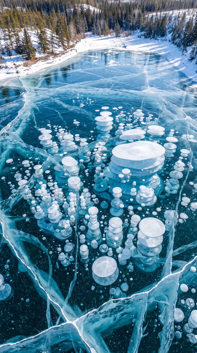oboofafrica's tweet photo. Those bubbles trapped inside this ice aren’t just beautiful. 🧊

They are largely methane bubbles released from decomposing organic matter beneath the lake.

As the gas rises, it can become trapped when the surface freezes, creating these incredible layers of bubbles beneath the ice.

And here’s the fascinating part:

Methane is highly flammable.

So something that looks like a beautiful piece of frozen art is actually evidence of a natural gas cycle happening beneath the ice.

Would you walk across ice like this without knowing what was underneath it? 👀