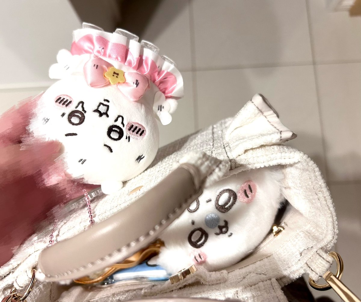 msn4q's tweet photo. かわいいが溢れてる💖️
 #ちいかわ
 #ちい活 https://t.co/MLeUh8Sqjt