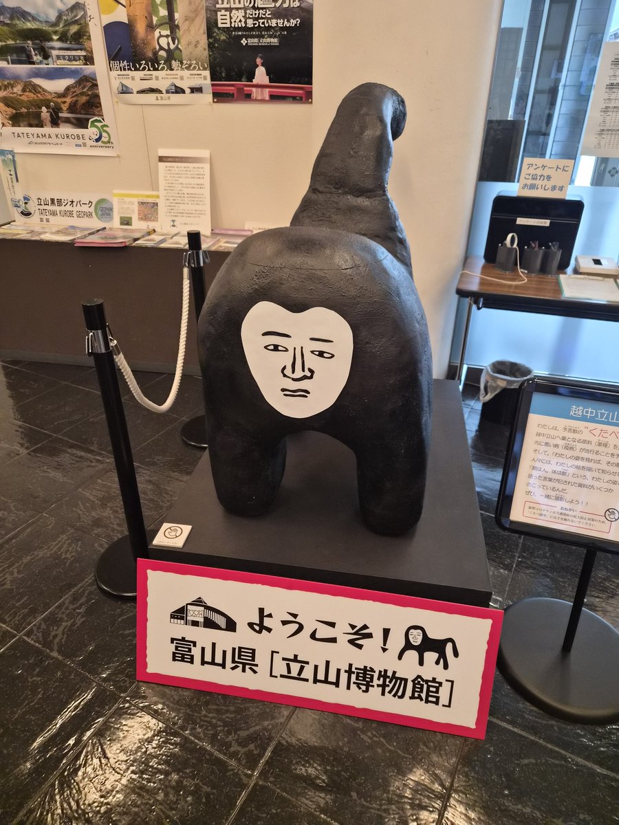hayaadsu's tweet photo. そしてついに立山サンダーバードへ！！
うさぎのおにぎりを買いました！！
あとで食べます！！ https://t.co/0puTD9yErO