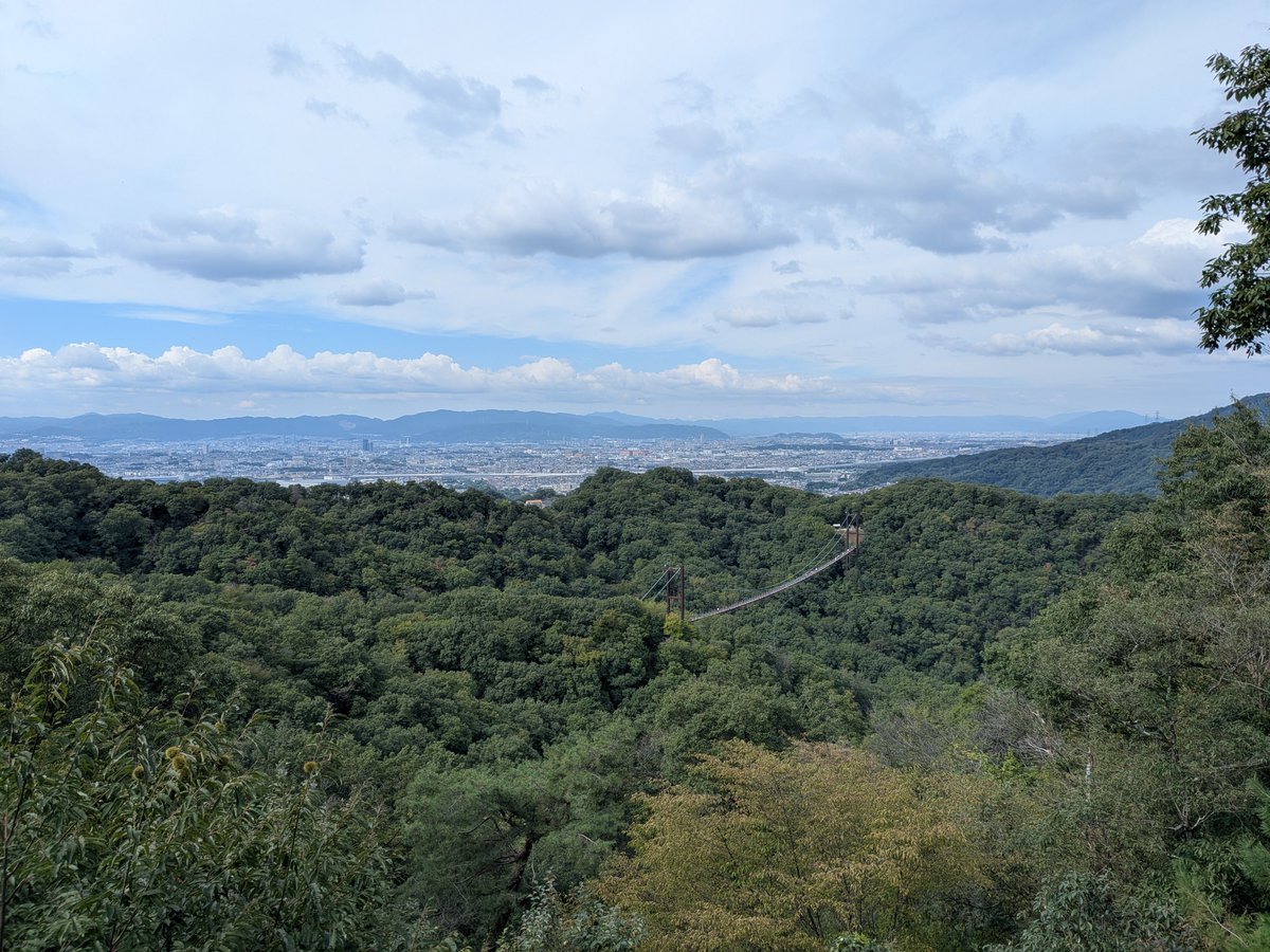 Luku_2's tweet photo. 午後はほしだの森に行ってきた、私市駅から往復、川沿いのハイキングコースが通れないので車道歩きが結構怖い
星のブランコは全然揺れないけど高さは割とある
展望台までは200mくらい登ってそうな感じ
クライミングの練習してる人もいた https://t.co/DplxmgKnHm