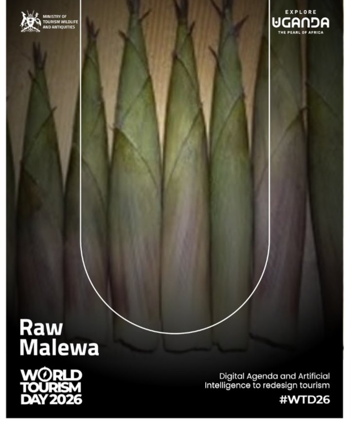 ritah38087's tweet photo. Raw Malewa is more than food. It is a reflection of Uganda's rich traditions and cultural identity.
Let's celebrate our local flavours and showcase Uganda to the world.
Come and celebrate the world tourism day with us on 27th September 2026 in Mbale.
#WTD2026
#digital tourism https://t.co/yLC3CrSgub