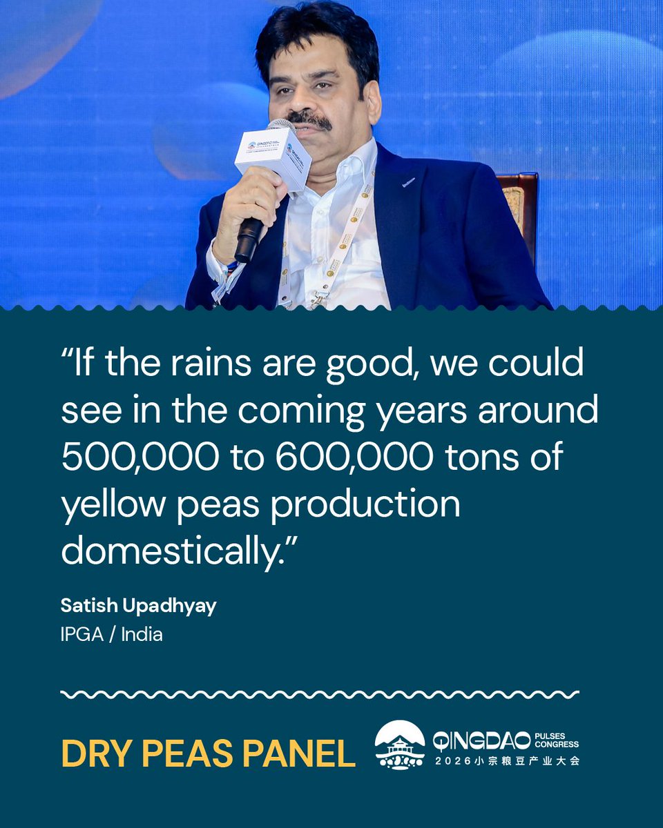 GlobalPulsesGPC's tweet photo. At the Qingdao Pulses Congress, industry experts discussed the factors shaping the outlook for dry peas.

GPC members can now access the full panel recording on the Pulse Pod:
https://t.co/ssnPEzstYA

Join us to unlock this and other member benefits.
https://t.co/zuPlpw3oWA

#GPC https://t.co/sunSwn38tT