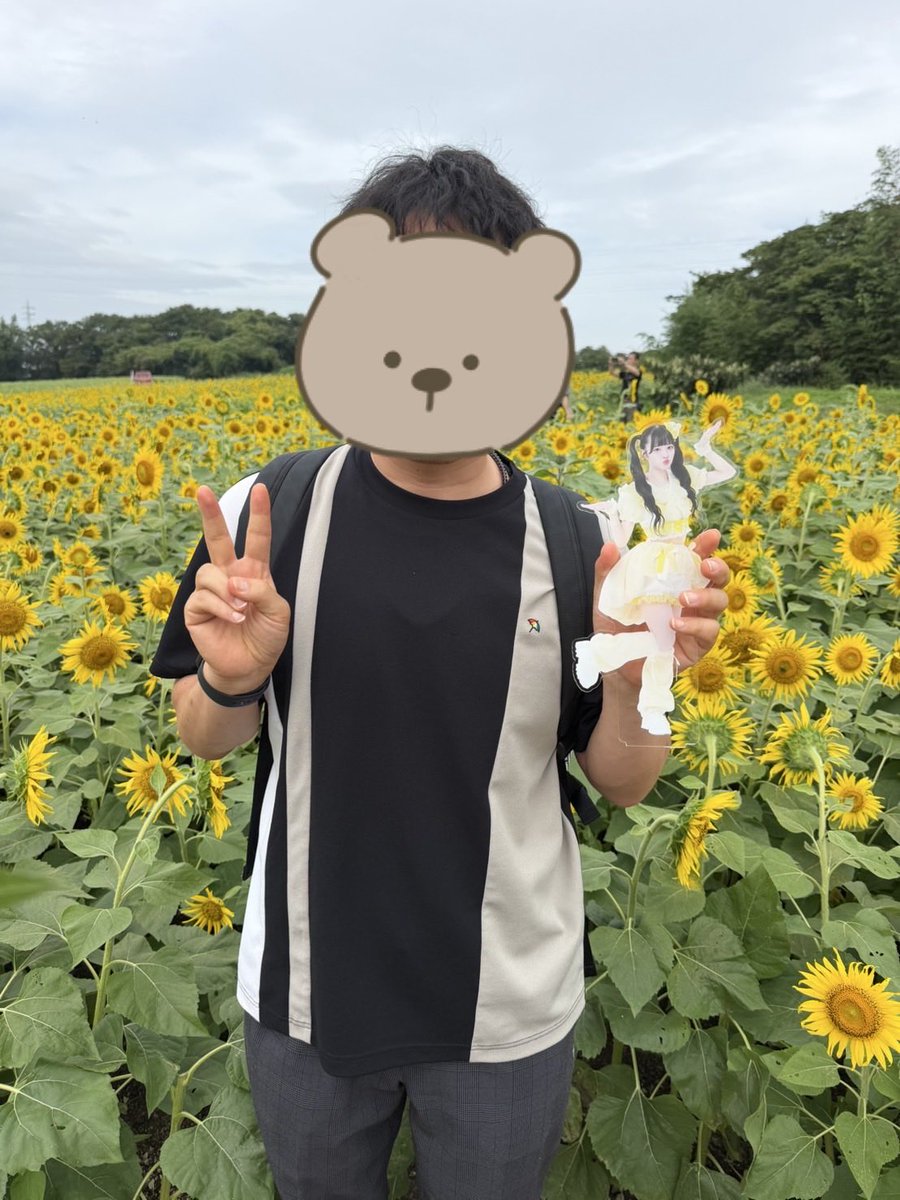 jun_soccer17's tweet photo. 推し活してきた🐣
ひまわりとぴなさん🌻
ここは12月まで🌻みれるらしい✨

#pixelribbon  #橘陽菜  #ぴなとはんぶんこ #ぴくりぼ https://t.co/3xAclekfZ7