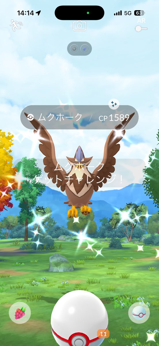 Uru03281's tweet photo. レイドデイお疲れ様でした🦅🦅
ムクホーク色違い23戦で5匹GET✨
#ポケモンGO https://t.co/L0p1vECi7V