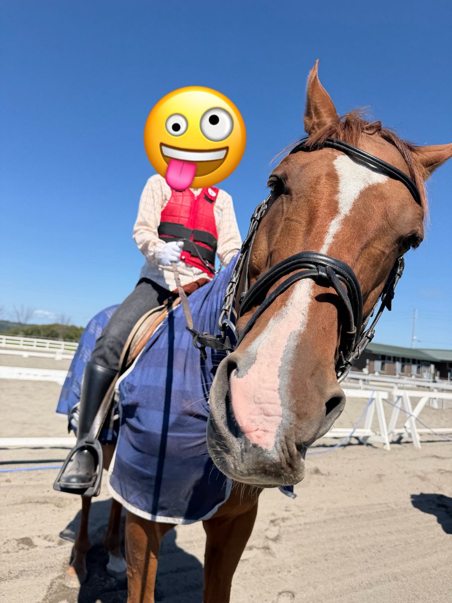 chizlio's tweet photo. ホロシリ乗馬クラブで乗馬体験させてもらいました。楽しかったです😆
私を乗せてくれたのはカイロス号。 https://t.co/xdXlPlZify