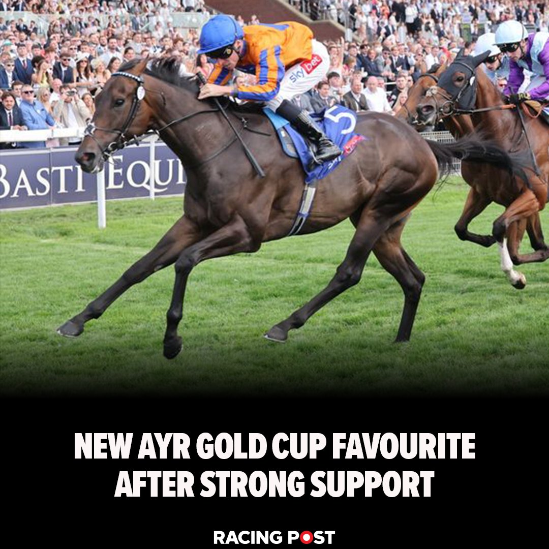 RacingPost tweet picture