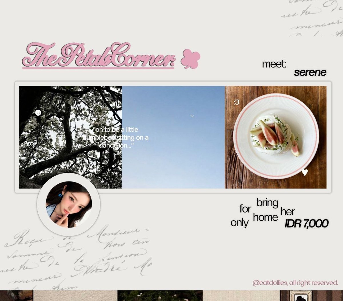 catdollies's tweet photo. help repost please? thank you! ♥︎

hello-bello! aku bawa layout ready stock xu ruohan, zhang ruonan, go younjung, roh yoonseo, anna meovv, karina aespa, dan wonhee illit ⭐ harga sudah tertera dan bisa langsung dm aku saja untuk menjemput layoutnya =}🍀🤍

tags. #zonauang https://t.co/c3dYUqc2av