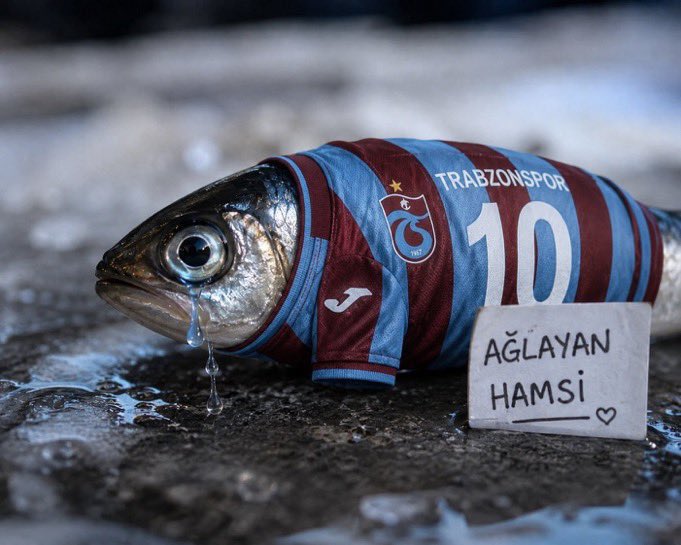 MSuluten99886's tweet photo. @deplasske @cakirugurcan96 Yerdeki hamsilere basmamak için https://t.co/3KywY8ikkV
