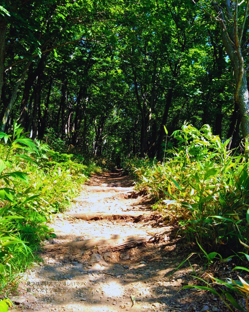 mitateasobi's tweet photo. 【見立て旅】北海道斜里郡 | フレペの滝遊歩道  |  動植物の生息地を歩く

序論introduction　

#シネマティック #スライドショー #フォトライブラリー #youtube https://t.co/DpEPpdnSk2