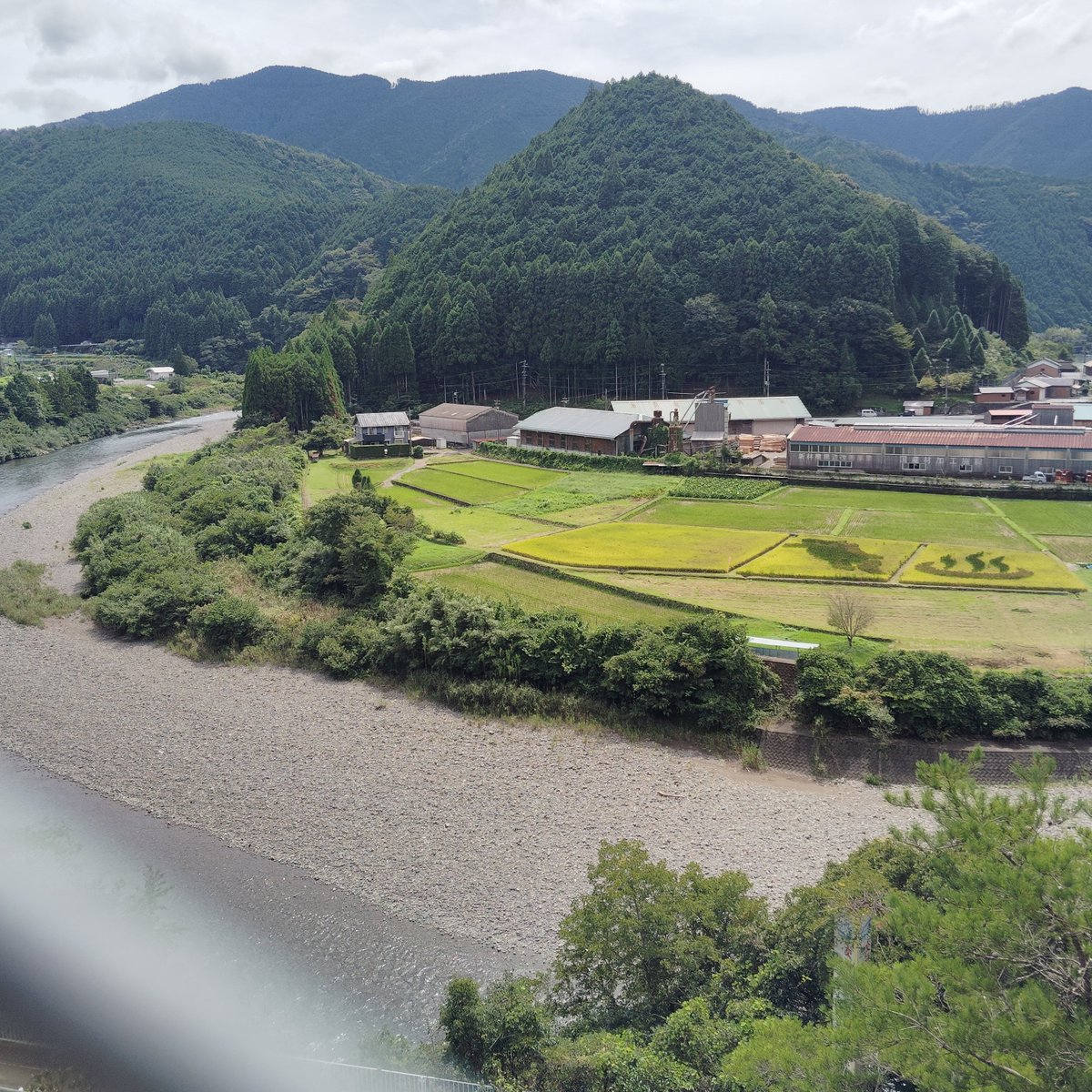 hata_michi's tweet photo. オカンと和歌山県龍神村までお墓参り済ませて来ました🙏どこかのTV局で龍神村の田んぼアートやってましたので覗いてきました😆いつものレンタカーを利用して行ってたんですが、��カン車内で失禁しまして😂クリーニング代のおまけ付きで一日を終えました〜😂😂最後に紀勢線紀伊新庄駅で一杯😆 https://t.co/DP6m9w04tJ