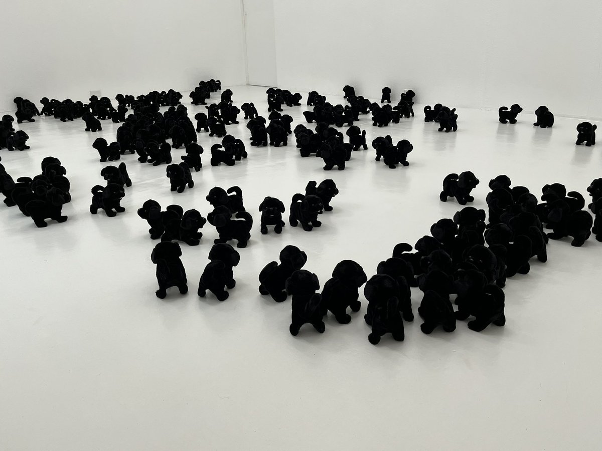 sohei93's tweet photo. 東京・世田谷のGallery21yo-j にて、野村和弘さん「200匹の、黒い犬」

17時の作家さんの合図で、鑑賞者も協力し床の犬１匹ずつ手作業でスイッチをON！200匹の犬が歩き回り尻尾を振り鳴く大音量の空間が出現！

5分後、また全員で犬１匹ずつスイッチをOFF。静かになるが鑑賞者も汗だく。不思議な体験。 https://t.co/IBrLbYVmVB