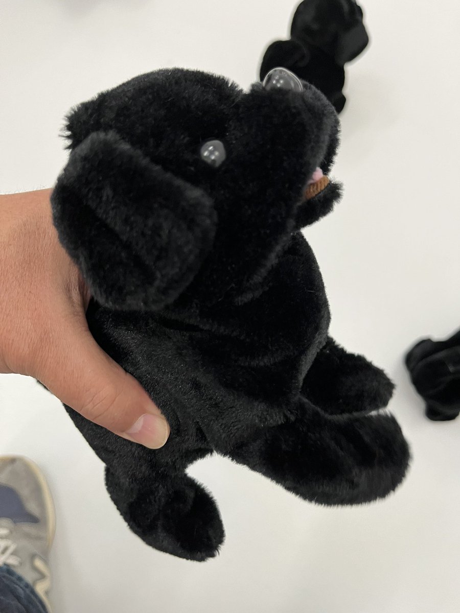 sohei93's tweet photo. 東京・世田谷のGallery21yo-j にて、野村和弘さん「200匹の、黒い犬」

17時の作家さんの合図で、鑑賞者も協力し床の犬１匹ずつ手作業でスイッチをON！200匹の犬が歩き回り尻尾を振り鳴く大音量の空間が出現！

5分後、また全員で犬１匹ずつスイッチをOFF。静かになるが鑑賞者も汗だく。不思議な体験。 https://t.co/IBrLbYVmVB