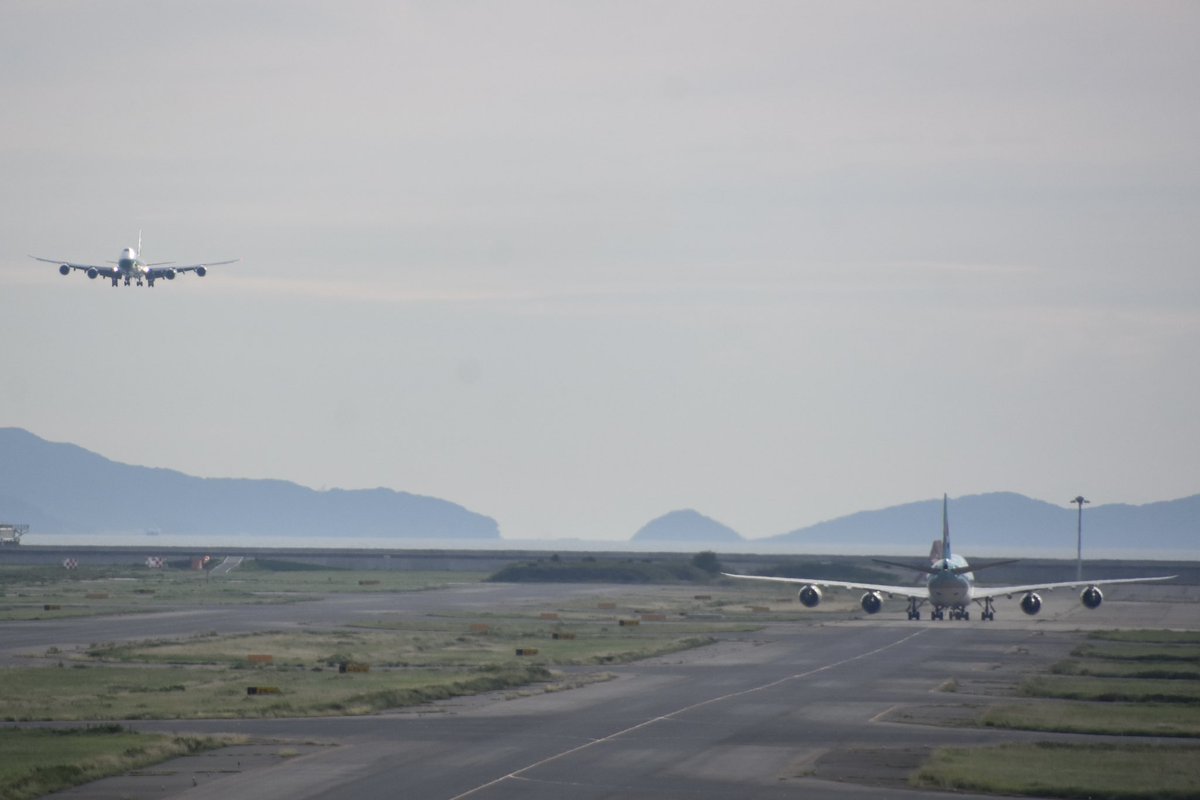 AirplaneVictory's tweet photo. September 19th 2026
Cathay Cargo &amp; Korean Air Cargo
B748F B-LJE&amp; HL7629 at KIX/RJBB
#CathayCargo #KoreanAirCargo
#B748F 
#KansaiInternationalAirport https://t.co/atcL9uNpOg