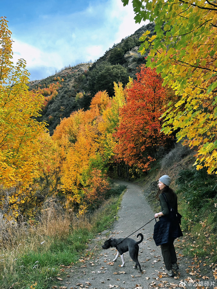 JulieannBevsld's tweet photo. Fresh autumn air makes every walk feel like a cozy hug ， https://t.co/fUVFkdOv4e