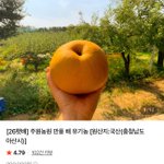 Photo by 향연 (@symposion_)