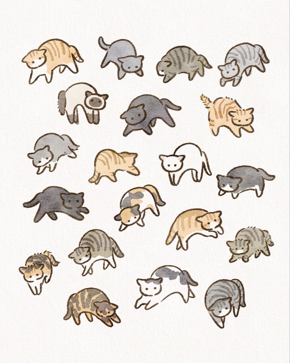 anz_m_'s tweet photo. やんのかやんのか🐈🐈🐈

#イラスト #illustration #猫 https://t.co/SLKBWrIytG