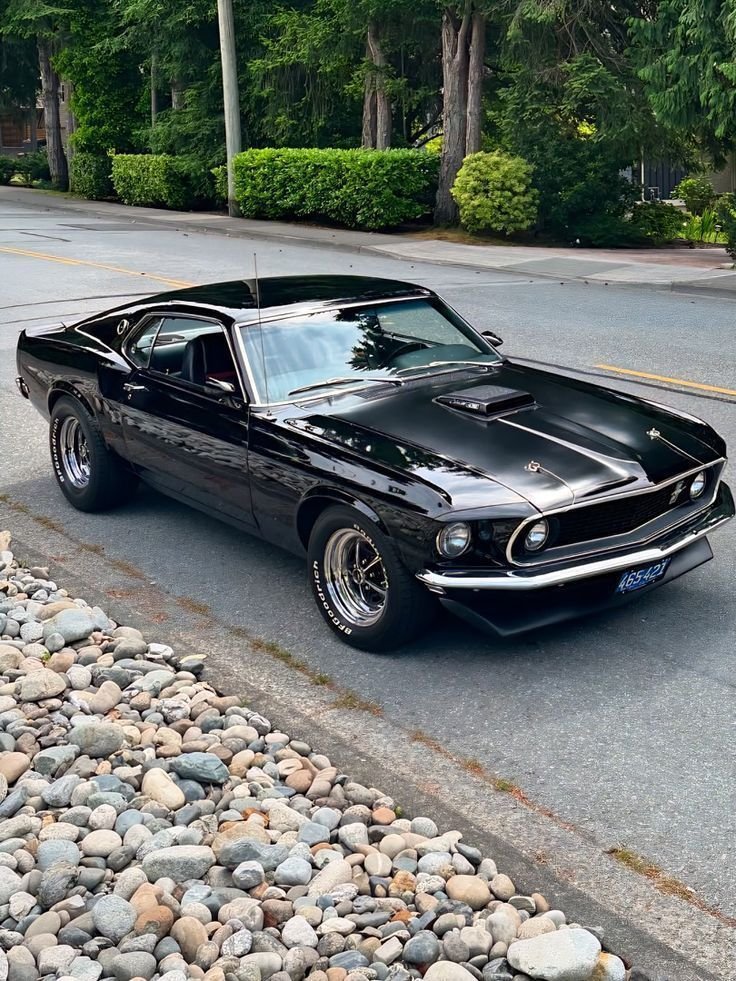 ZyroCar's tweet photo. Ford Mustang &amp; Piaget https://t.co/KUItxamDEs