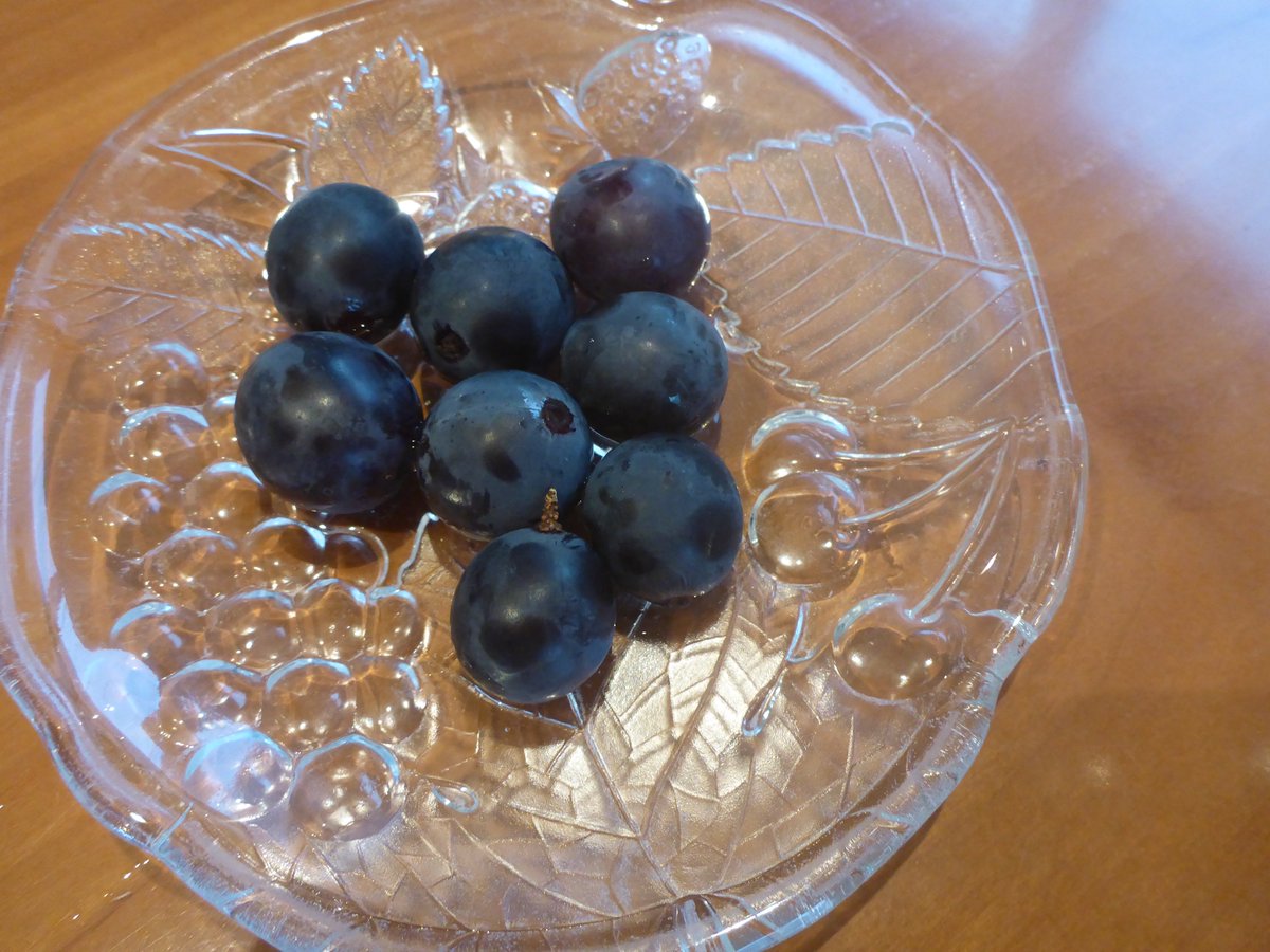 n_pic_a's tweet photo. ぶどう🍇秋だね🍇

#日常 #日常垢 #写真 https://t.co/JJNzdtcACc