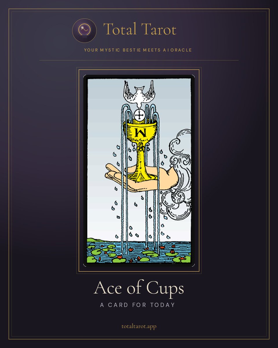 totaltarotapp's tweet photo. Ace of Cups. The cup is full before anything's happened yet. That's the whole card. Not what you've earned, what you're open to. Those are different questions. 🔮 https://t.co/KoRXdu1KgB