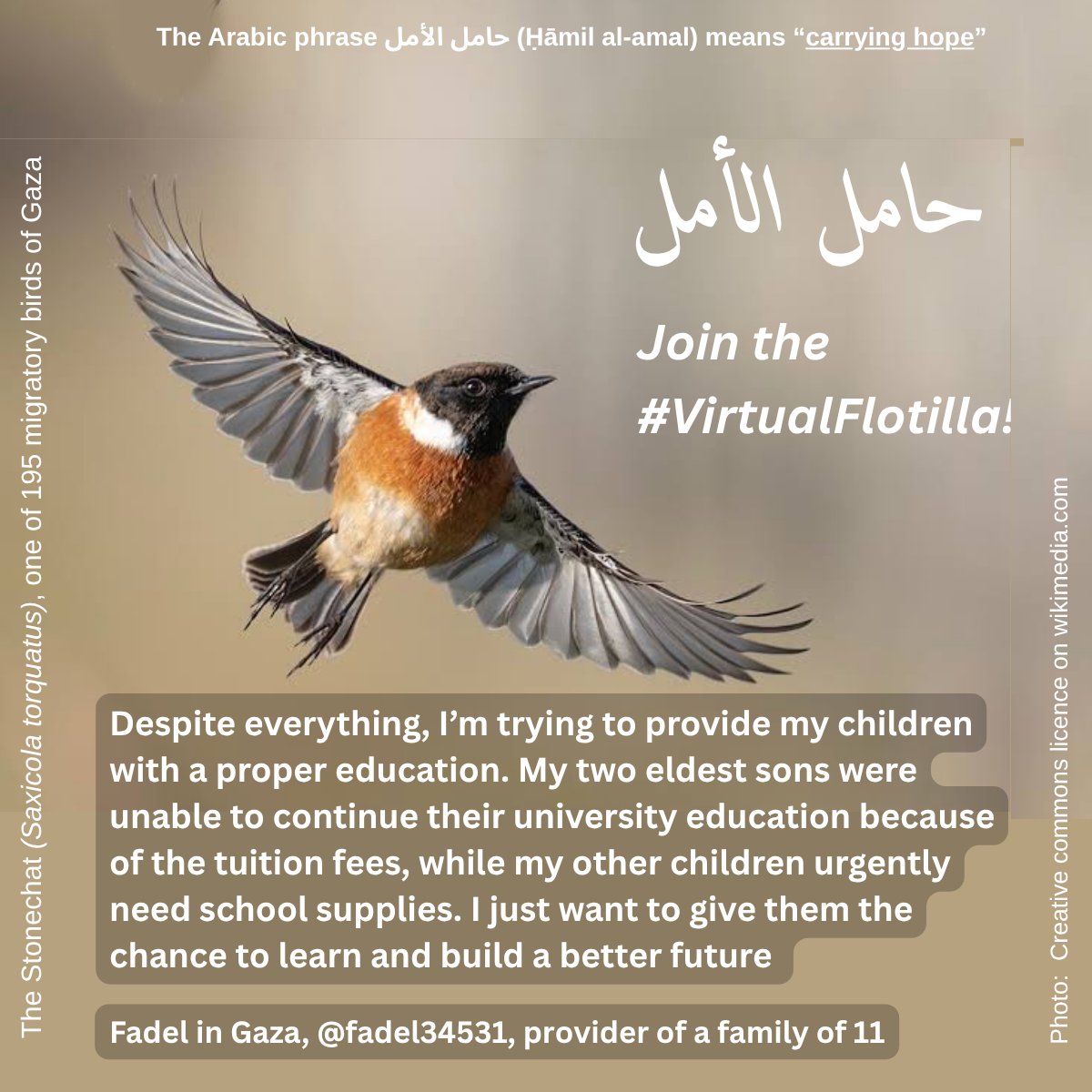TaniaSchell's tweet photo. @Moh1982H2967 @Etaf888 @tayyemhanan @ItsNadayu1 @MrsKrass @e_va_rosa @Barbara_05Y Please support Fadel, who is taking care of a family of 11. Let them go to school and give them some moments of relief during these dark times. 
Tagging @Fairfis @TomLondon6 @AmiDar in hope you might help spread 🙏 
https://t.co/O8jVuXhd2L https://t.co/4Yj6l0tDBB