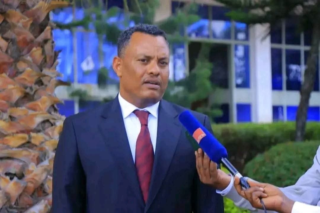 nshewacommun's tweet photo. በዞኑ የተከሰተውን የግሪሳ ወፍ ለመከላከል የወፉን ማደሪያዎች በመለየት በትናንትናው ዕለት በአንጾኪያ ገምዛ ወረዳ የአውሮፕላን ኬሚካል ርጭት መጀመሩን የሰሜን ሸዋ ዞን ዋና አስተዳዳሪ አቶ መካሻ አለማየሁ በማኅበራዊ ትስስር ገጻቸው ገልፀዋል። https://t.co/Pv4FiiWSzt