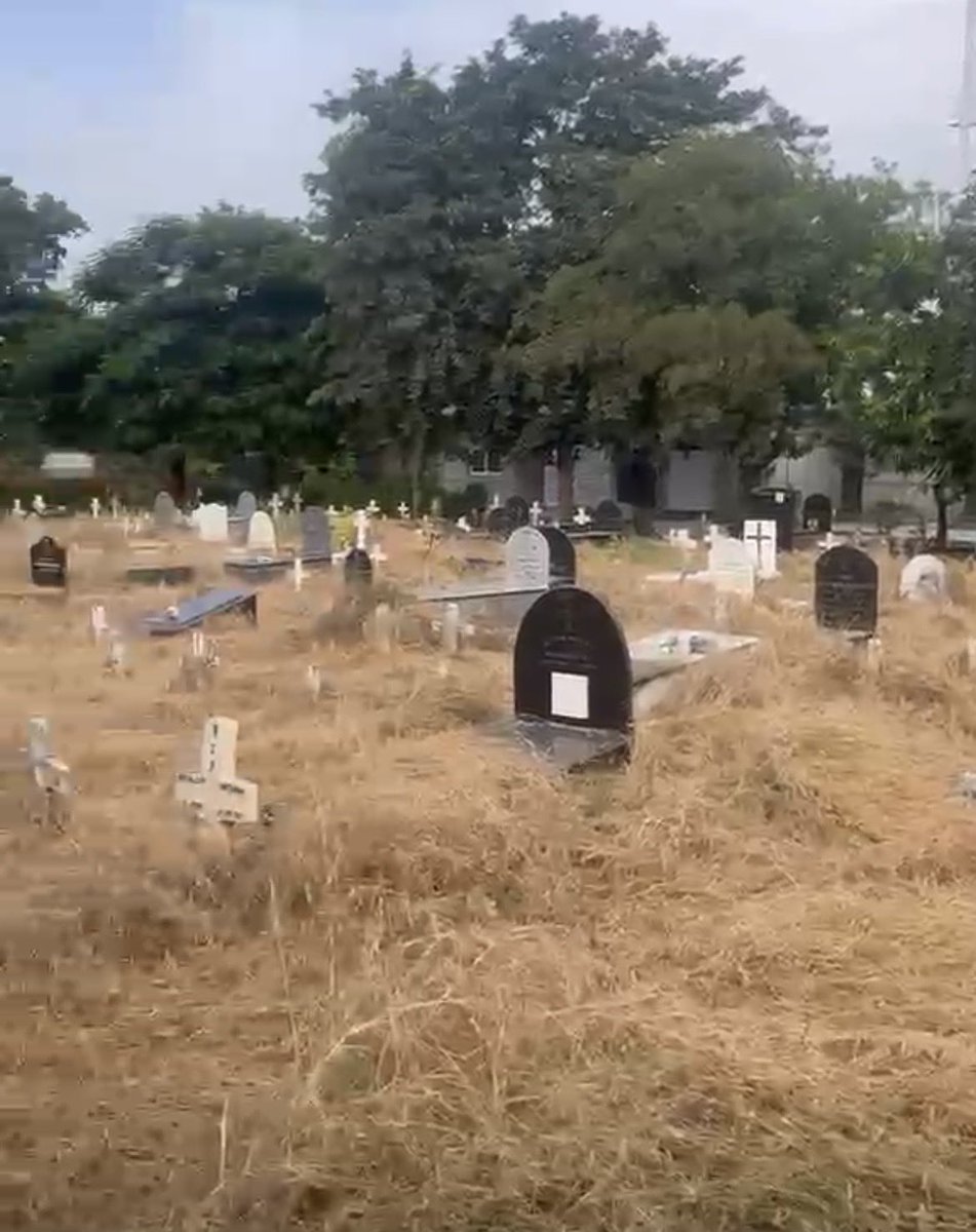 letlal's tweet photo. Social Work at MCD CHRISTIAN CEMETERY, DWARKA NEW DELHI- by brothers and sisters of different churches~ September 19, 2026 🙏. Thank you for coming and participating. God bless you all 🙏 https://t.co/Fin2MNDjTh