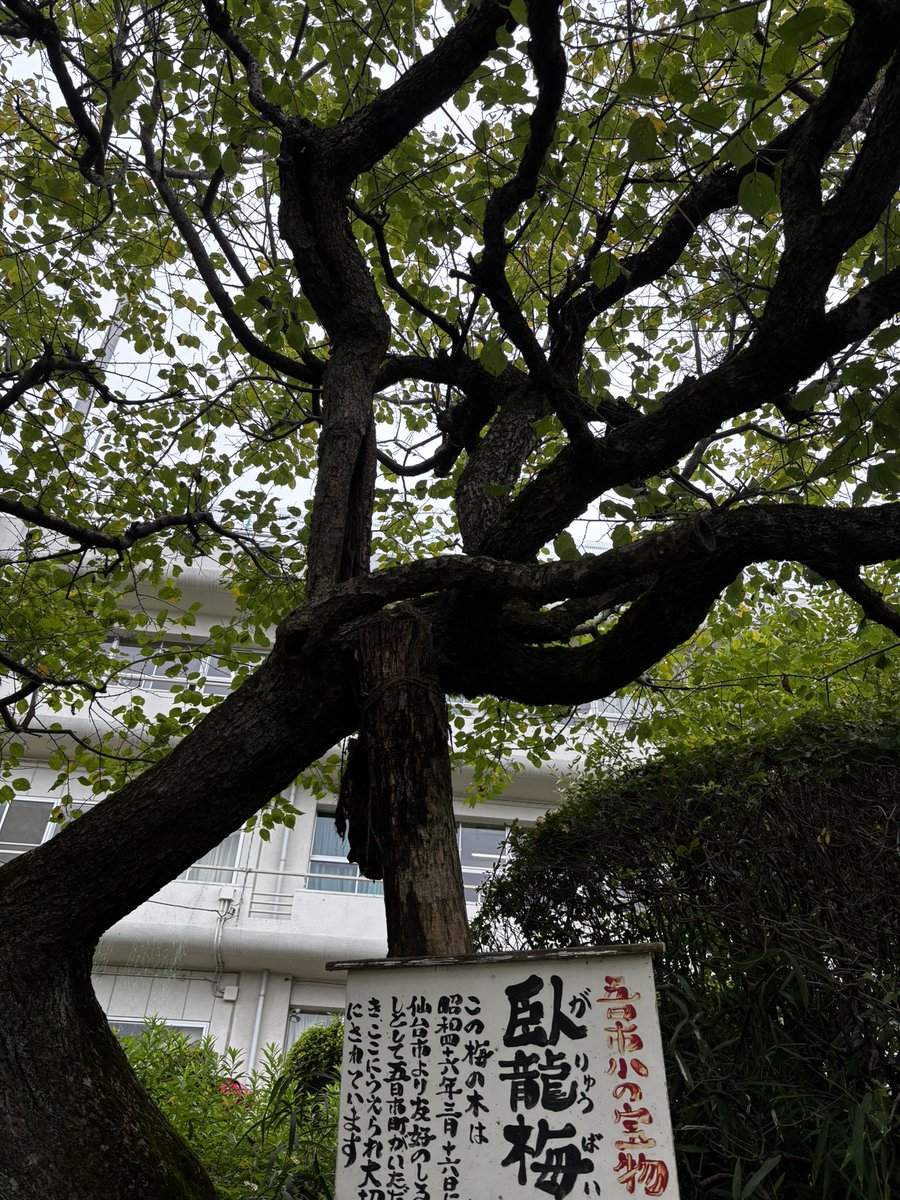 harada__hiroko's tweet photo. 🏫今日は五日市小学校の学校公開へ😊
6年生のアントレプレナーシップ講演が心に響きました🍀
🌱チャンスかもと思ったら手を挙げる
🌱みんなと同じ、で選ばない
🌱自分に嘘をつかない
子どもたちも生き生きと笑顔。
私自身も学ばせていただきました✨
#あきる野市#学校公開#公明党 https://t.co/npmpKqAePR