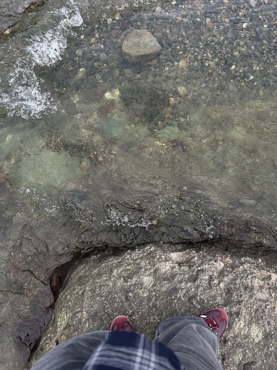 7p45yv's tweet photo. しめりけは帰省しています。
地元の海、珍しく透明度高くて綺麗だった〜みんなに共有 https://t.co/J65ESLwMgo