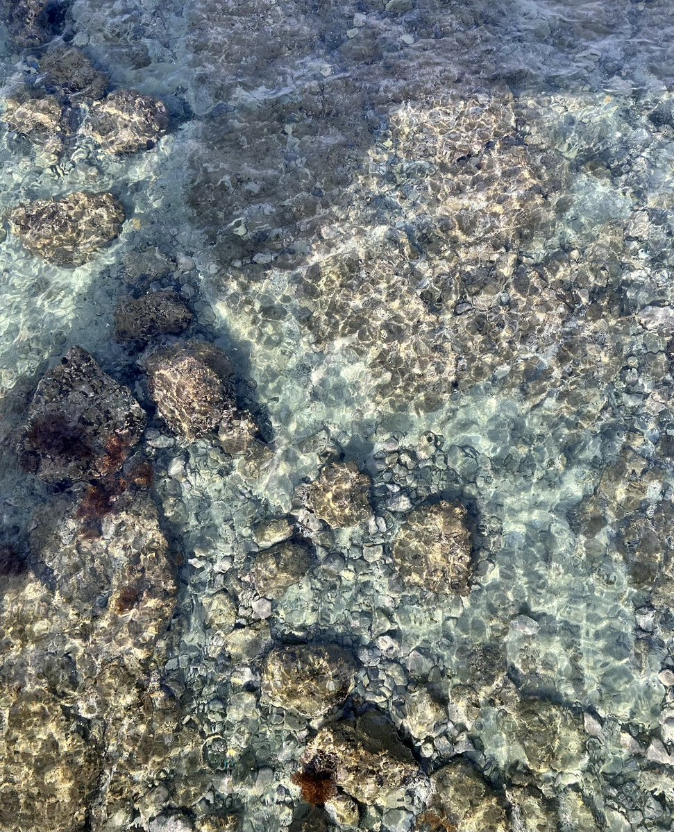 7p45yv's tweet photo. しめりけは帰省しています。
地元の海、珍しく透明度高くて綺麗だった〜みんなに共有 https://t.co/J65ESLwMgo