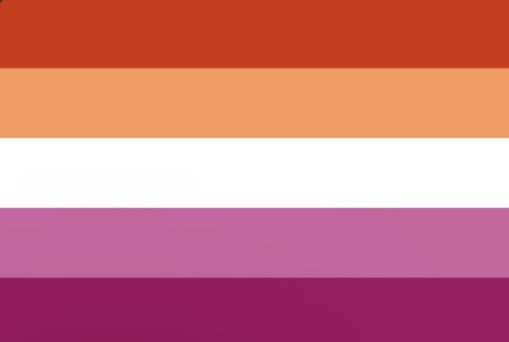 mafuyukisser's tweet photo. lesbian flag for women who like women https://t.co/dZKKILJFbo