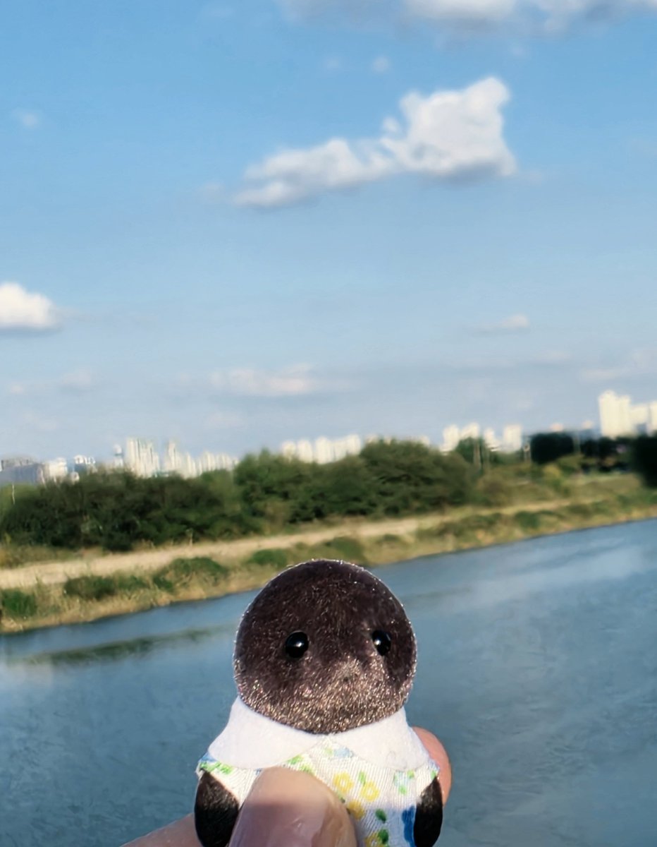 pufflike's tweet photo. 독립영화 여주샷 https://t.co/3IQKIbaVHv