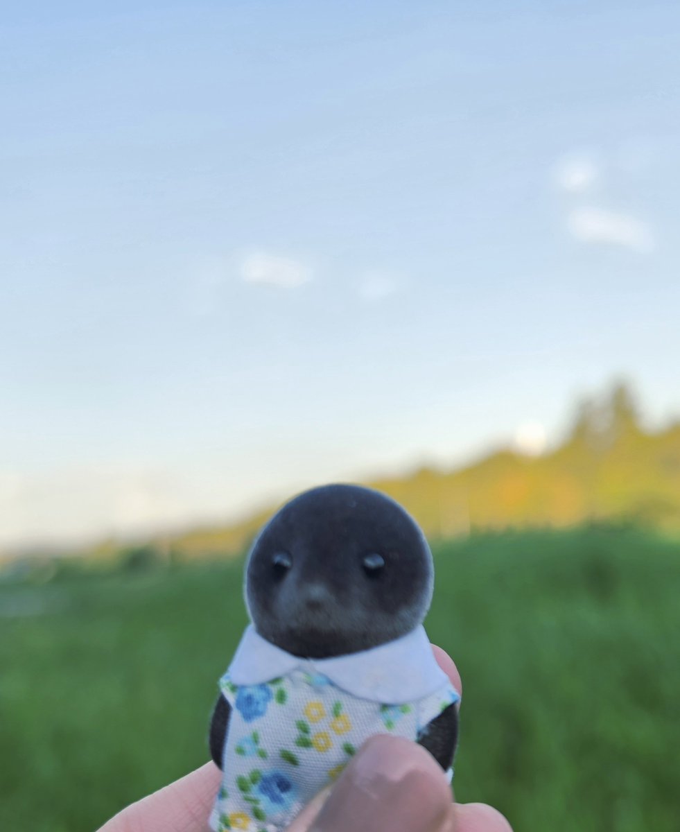 pufflike's tweet photo. 독립영화 여주샷 https://t.co/3IQKIbaVHv