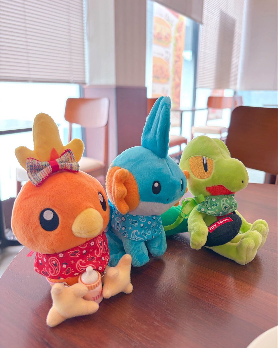 mana33RSE's tweet photo. シルバーウィークの始まりだ〜✨✨
#ポケモンfit
#ポケぬい
#ぬい撮り https://t.co/nkcM3RRGPC