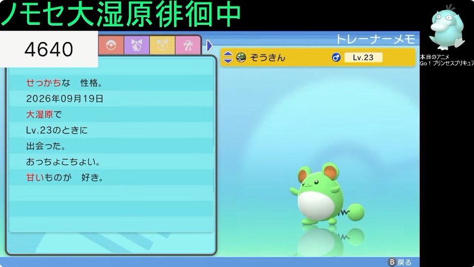 pepenyon29's tweet photo. シルバーウィーク早々に成し遂げてしまいましたね～。
4640回目で色違いマリルGETだぜ！！！
ノモセ大湿原は１つの鬼門だと思ってたんで、突破することが出来て非常に嬉しいですねぇ（ﾆｯｺﾘ
これで色違い旅も折り返し地点くらいには到達しましたかね？？？？？
引き続き頑張ります！！！！！ https://t.co/J7VCZ3g9M8