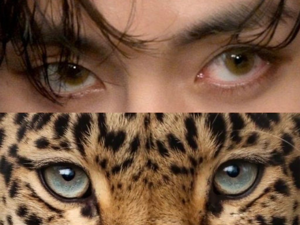 taeteluv_'s tweet photo. 🐆 https://t.co/CXy9DmXim9