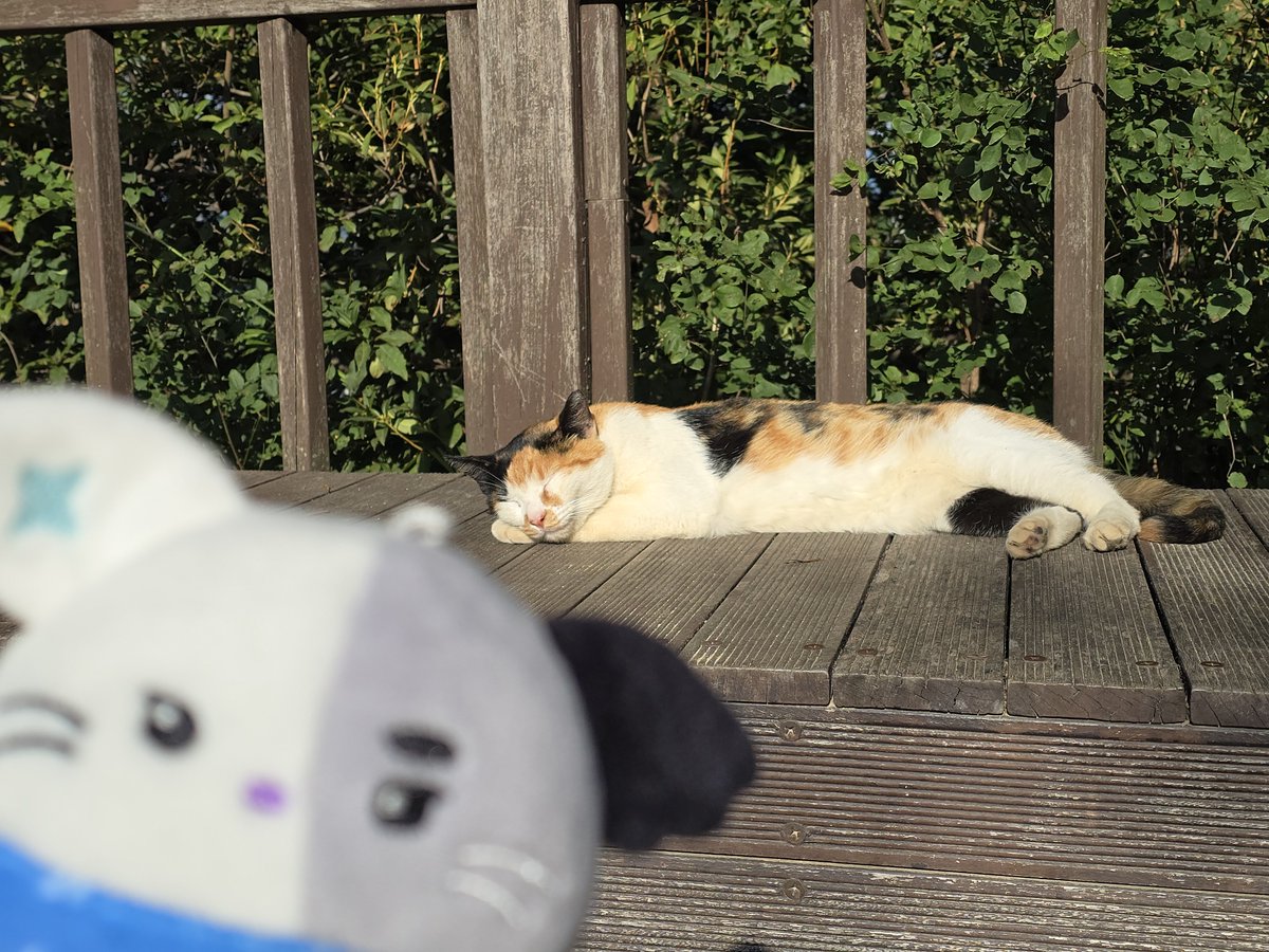dyudium's tweet photo. 간단 등산 다녀옴 ㅎㅎ https://t.co/tER6Be3yVQ