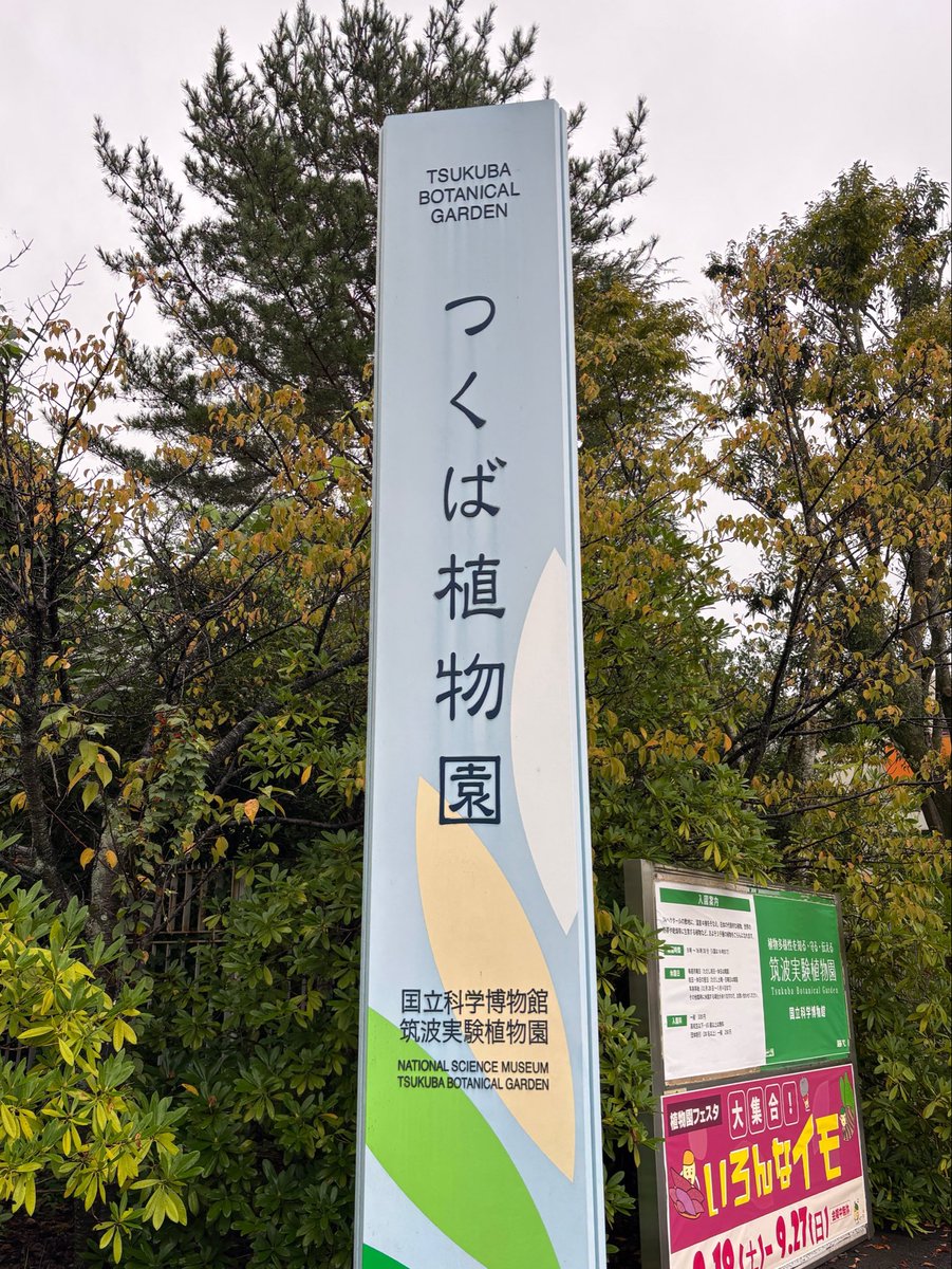 ka_obin6's tweet photo. 大人の休日
植物園でゆったりとしたひと時を過ごしました‼️ https://t.co/CzkOJ8qzRy
