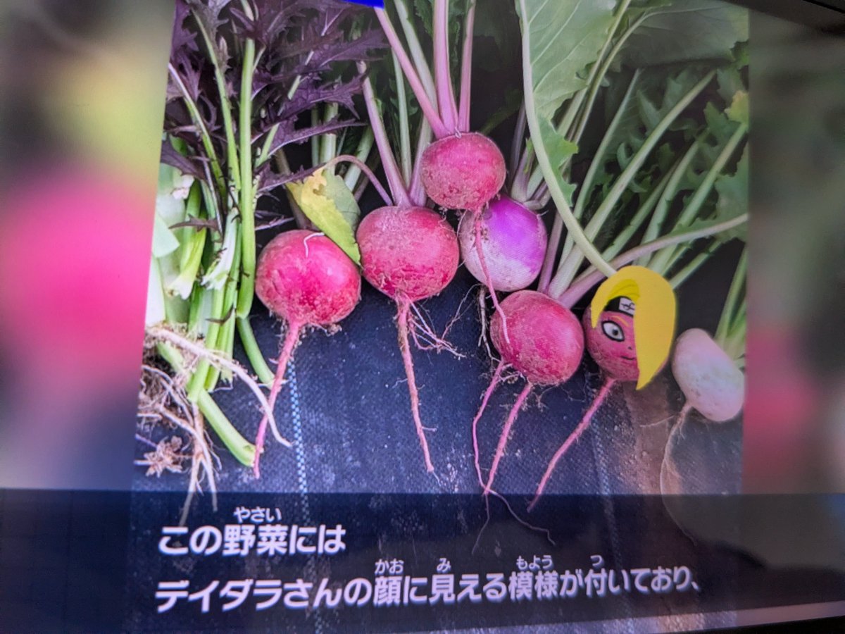 okiru224's tweet photo. うちの芸コン https://t.co/UNkIWcKtz5