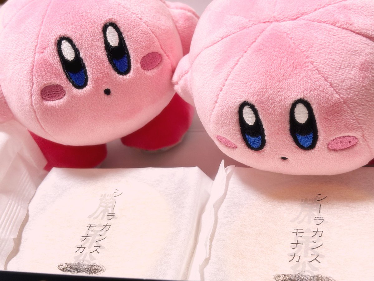 kodapoyo's tweet photo. 君たちそこで何してるの？ https://t.co/3BEMyrYzkG