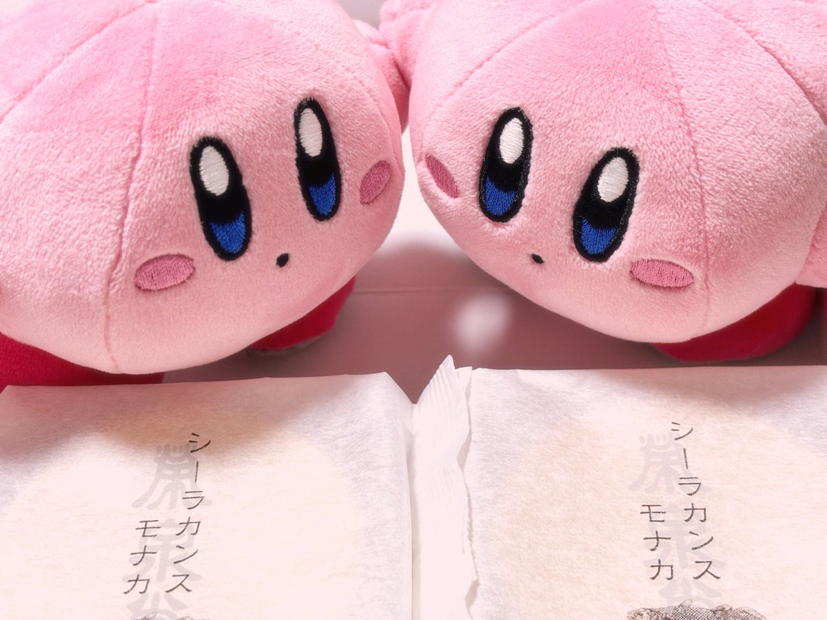 kodapoyo's tweet photo. 君たちそこで何してるの？ https://t.co/3BEMyrYzkG