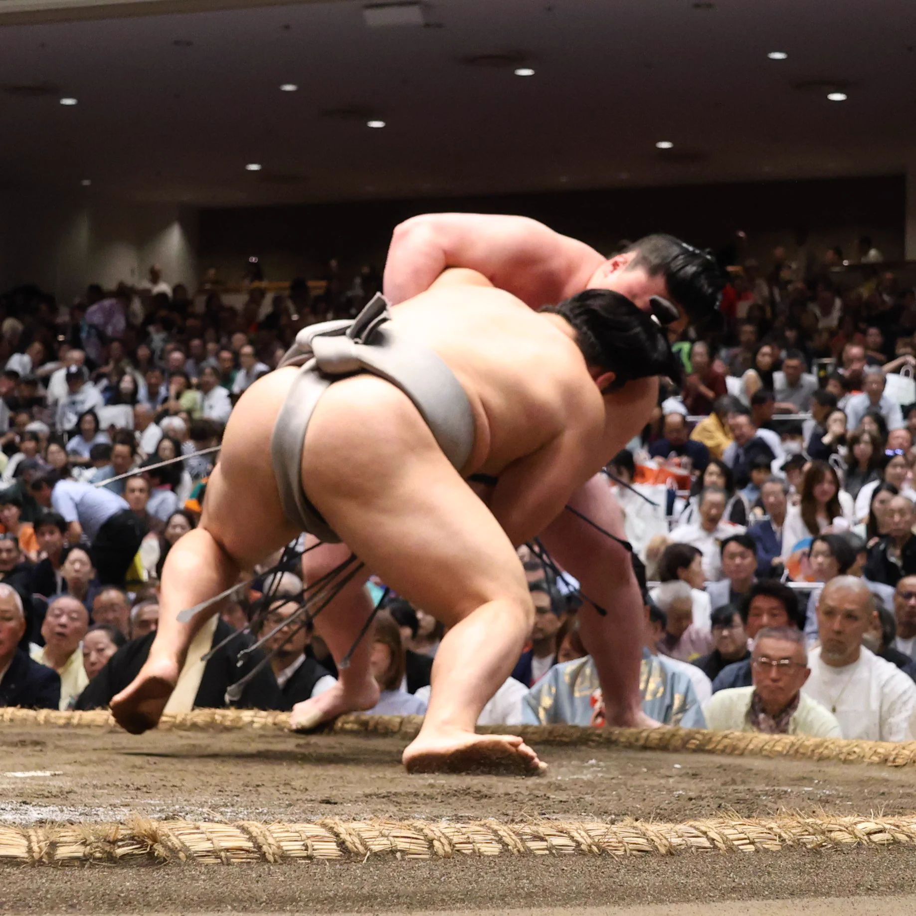 日本相撲協会公式 على X: 