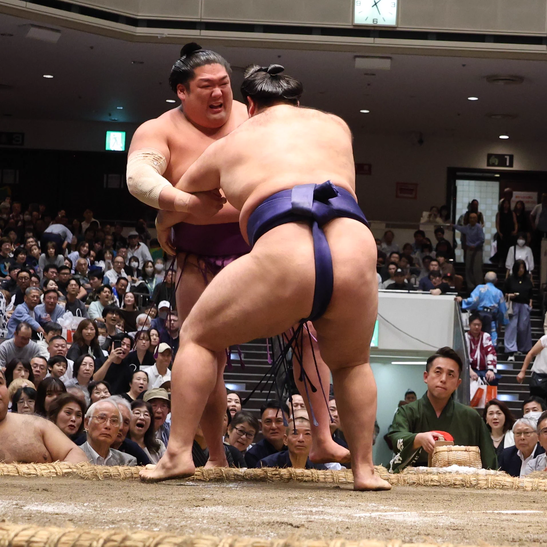 相撲 日本相撲協会公式 в X: „＜七日目の様子＞ 幕内取組 狼雅（5勝2敗