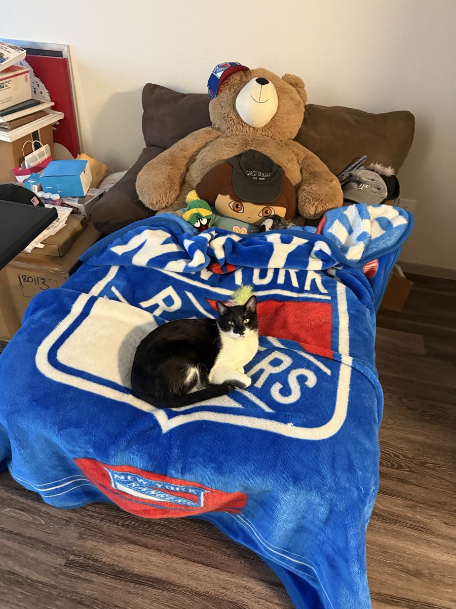 DarkMet tweet picture