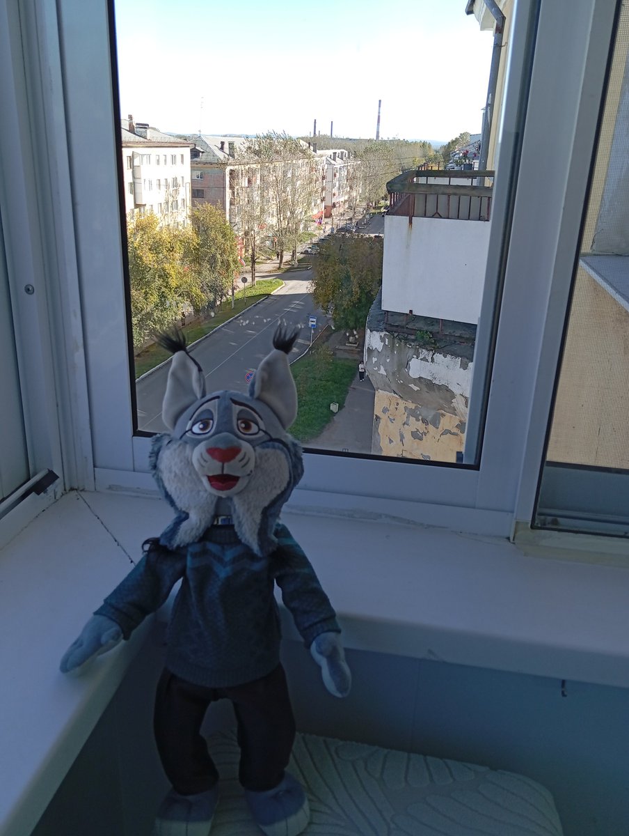 pawbert_777's tweet photo. It’s warm today for the first time in a week. Pawbert and I sat on the balcony for a long time, looking out at the city https://t.co/T67YxTf7Gw