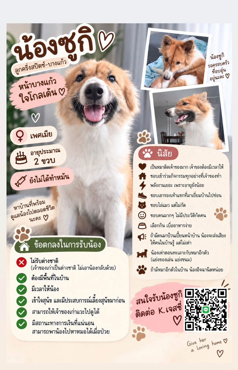 malimalineee's tweet photo. หาบ้านด่วนค่ะ น้องน่ารักมากๆ ไม่มีประวัติกัดคน

เจ้าของเก่ากำลังจะย้ายกลับประเทศ น้องไม่มีที่ไปค่ะ น้องน่าสงสารมากไม่ค่อยได้ออกไปไหน ไม่ค่อยได้เจอใคร อยู่ในบ้านคนเดียวทั้งวัน เจ้าของมีลูกเลยโดนจับแยกให้อยู่คนเดียวตลอด และตอนนี้เจ้าของกำลังจะย้ายกลับ 😭 https://t.co/5NVWBp4d6J