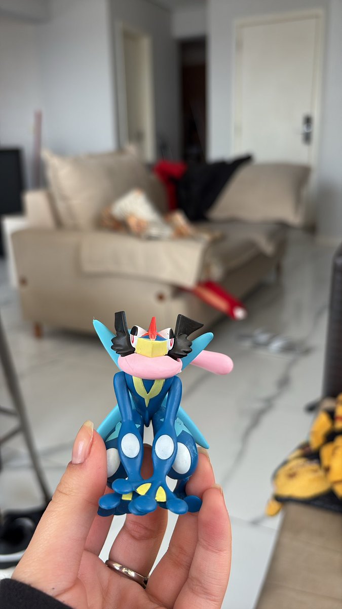 modanezt's tweet photo. toda vez q eu vejo o pacote champions na timeline eu fico GRRRR pq eu nunca estive tao pobre, ai os 28 reais q eu tinha eu gastei com uma caixinha misteriosa de pokemon que veio o greninja https://t.co/FMeGLAhij8