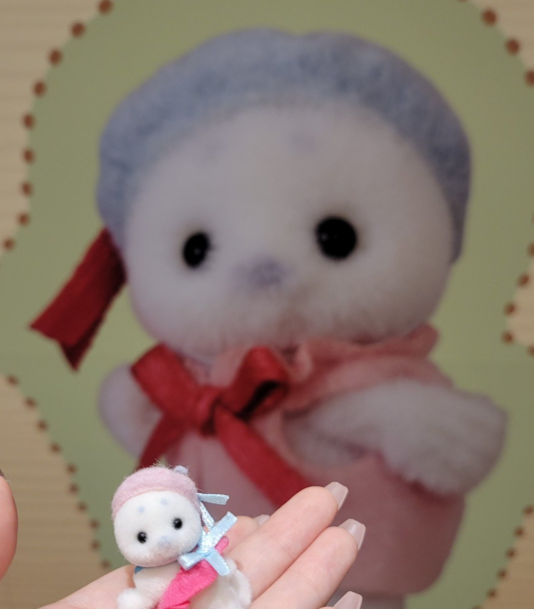 macaron_0103_'s tweet photo. 可愛すぎるᐡ⸝⸝>  ̫ <⸝⸝ᐡ https://t.co/33bJSRtoDf