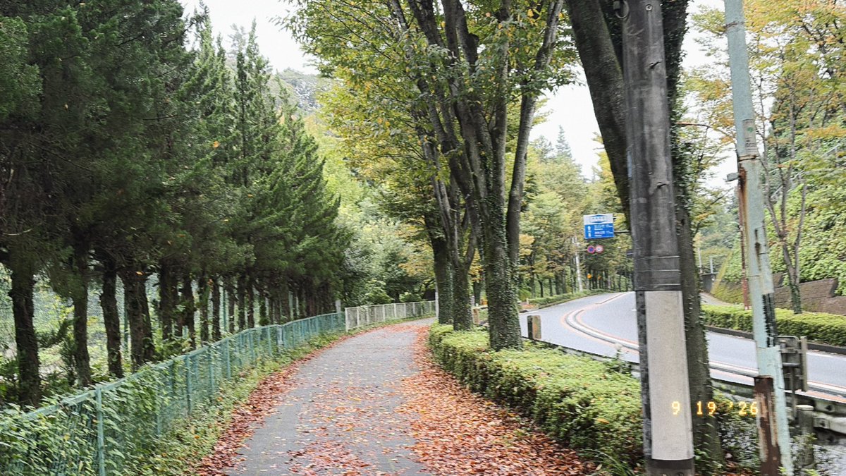Small_One_Step's tweet photo. 沢山歩いたよ🍂 https://t.co/6DpFecr5nE